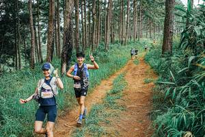 BIB: 
                            <button type="button" onclick="openModal(25656251)" class="btn btn-primary btn-sm float-right btn-popup" data-toggle="modal" data-target=".modal-high-quality">
                        <i class="fas fa-shopping-cart"></i> Add to Cart
                    </button>
                                            <button type="button" onclick="isThisMe(25656251, true)" class="btn btn-success btn-sm float-right btn-popup btn-isme hidden" data-toggle="tooltip" data-placement="bottom" title="นี่คือรูปของคุณใช่ไหม คลิกที่นี่เพื่อเอาเข้าอัลบั้ม">
                        <i class="fas fa-plus"></i> Add to album
                    </button>
                    <button type="button" onclick="isThisMe(25656251, false)" class="btn btn-warning btn-sm float-right btn-popup btn-isnotme hidden">
                        <i class="fas fa-ban"></i> Remove from album
                    </button>